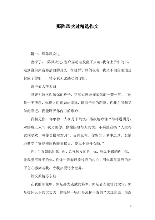 那阵风吹过精选作文