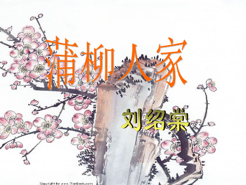 优质课人教版九年级下第二单元第6课《蒲柳人家》课件(26张ppt)
