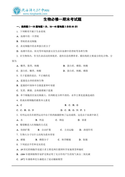生物必修一期末考试题