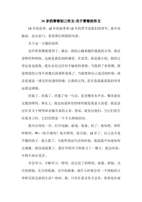 16岁的青春初三作文-关于青春的作文.doc