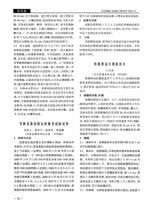 核桃树高位腹接技术