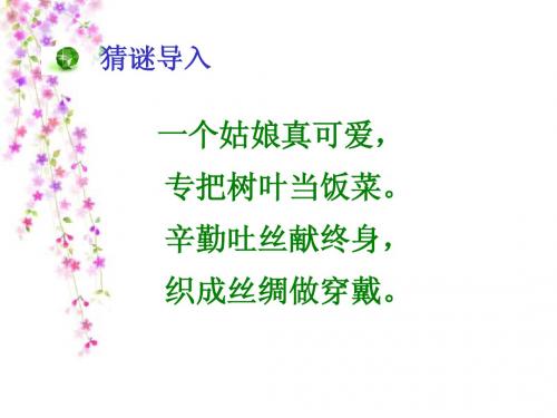 蚕姑娘-汤芳