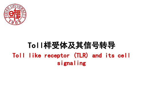 TLR及信号通路课件(Toll样受体及其信号转导)