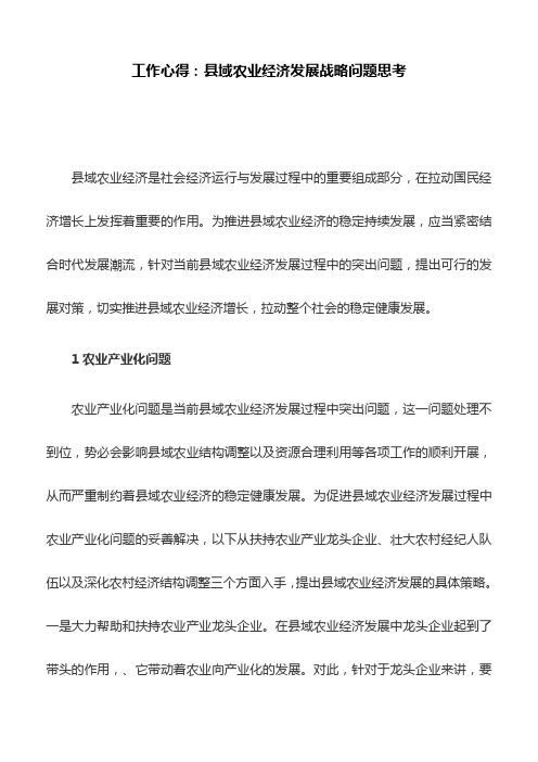 工作心得：县域农业经济发展战略问题思考