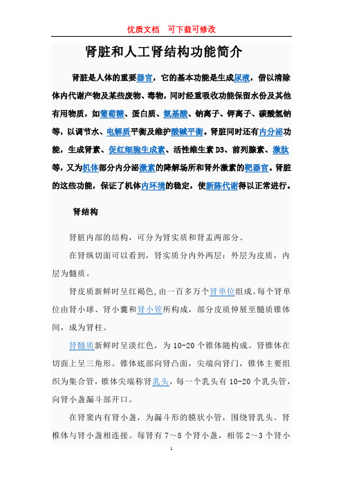 肾脏和人工肾结构功能简介  下载可修改 优质文档