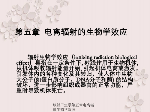 放射卫生学第五章电离辐射生物学效应