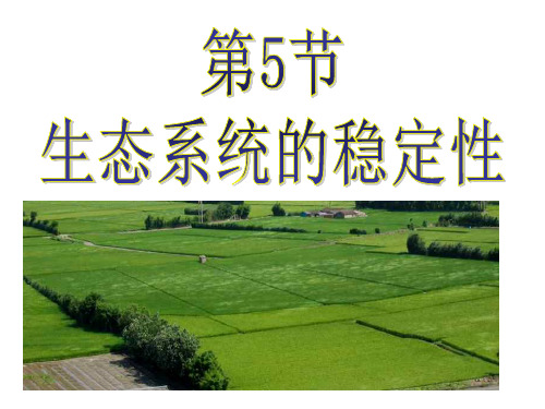 高二生物必修3_生态系统的稳定性ppt