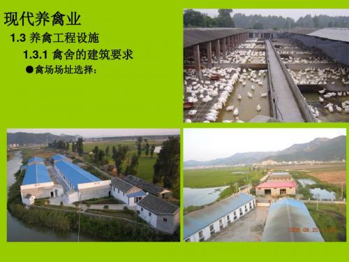 禽场的建筑详解