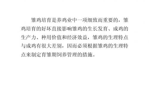 从雏鸡的生理特点谈育雏期的饲养管理