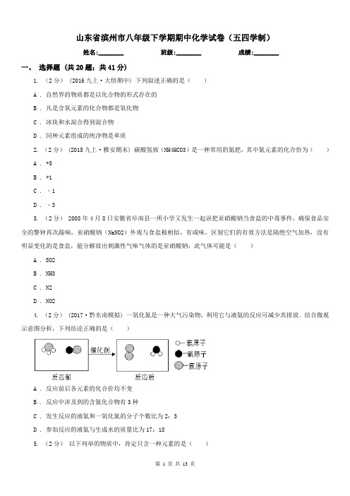 山东省滨州市八年级下学期期中化学试卷(五四学制)