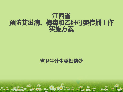 预防艾滋病梅毒和乙肝传播工作实施方案版PPT课件