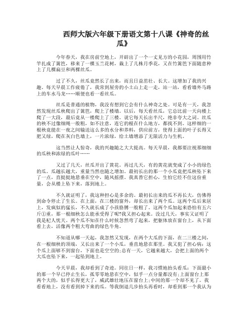 西师大版六年级下册语文第十八课神奇的丝瓜