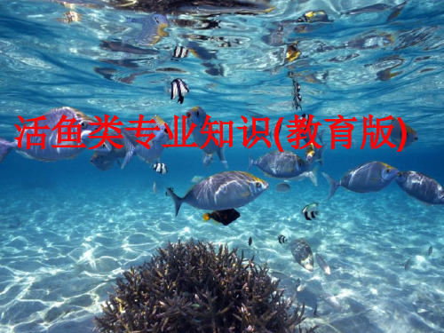 活鱼类专业知识(教育版)