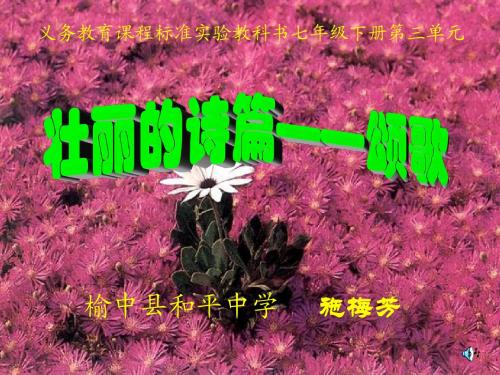音乐课件：壮丽的诗篇---颂歌