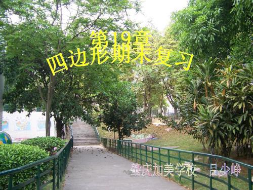 第19章四边形期末复习课件