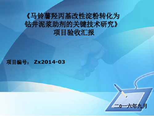 科技项目验收 PPT