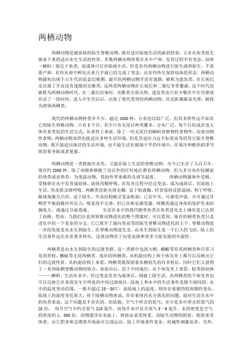 两栖类动物