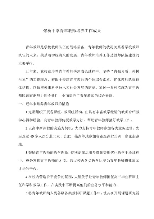 张桥中学青年教师成果