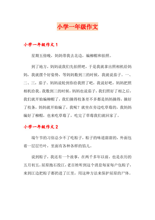 小学一年级作文