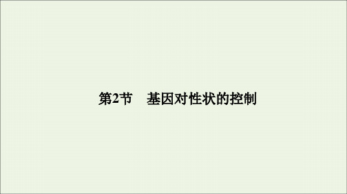 2020学年高中生物第4章基因的表达第2节基因对性状的控制课件新人教版必修2
