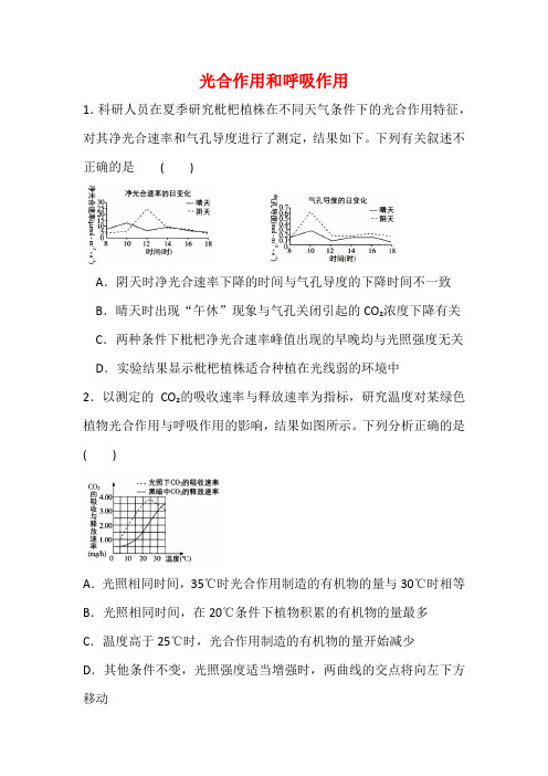 高考生物专题  光合作用和呼吸作用【有答案】