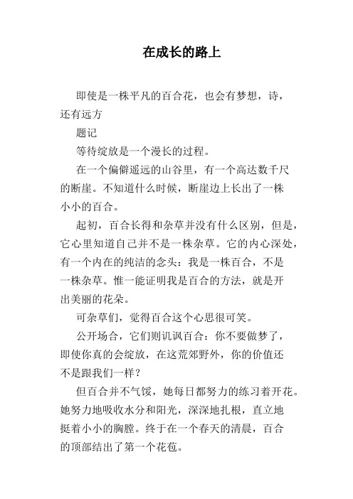在成长的路上