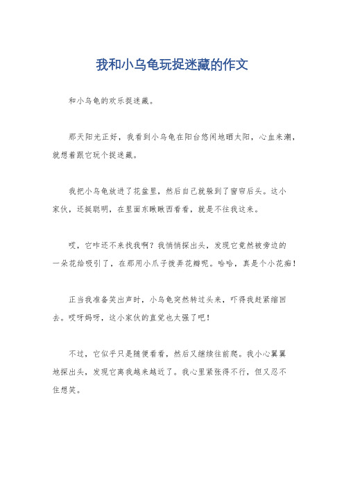 我和小乌龟玩捉迷藏的作文
