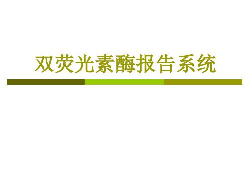 双荧光素酶系统实验操作步骤及方法-