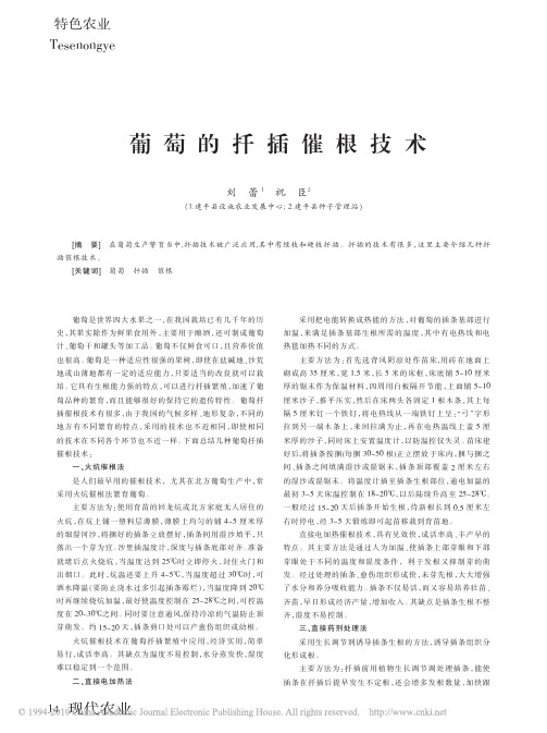葡萄的扦插催根技术