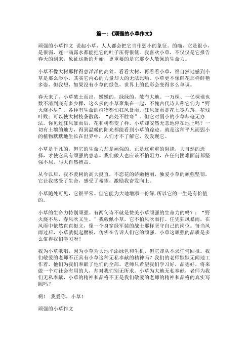 关于小草生命力顽强的作文800字