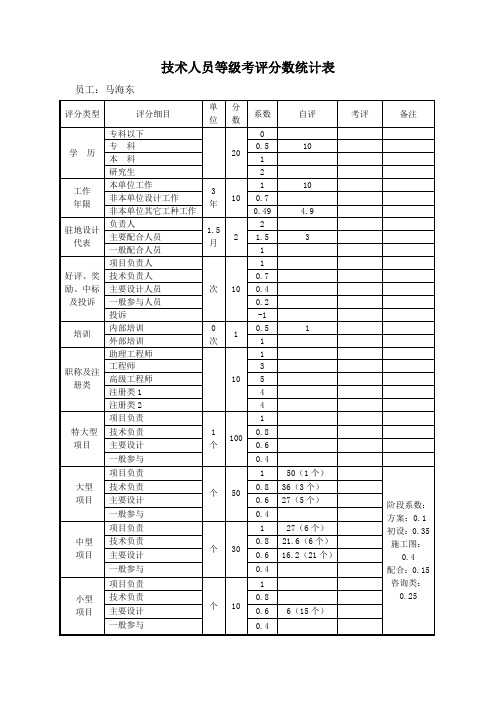 技术人员等级考评分数统计表