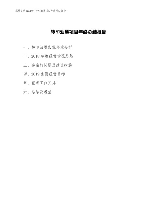 转印油墨项目年终总结报告