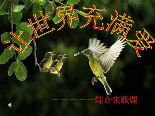 《让世界充满爱》13课件.ppt