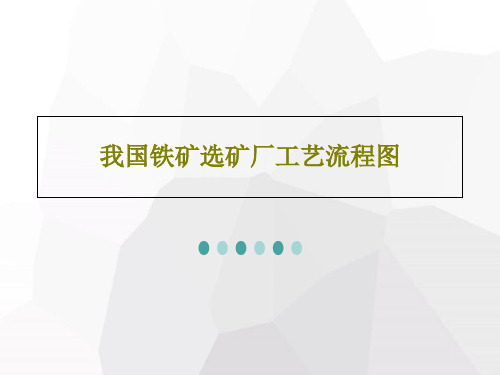 我国铁矿选矿厂工艺流程图共35页文档