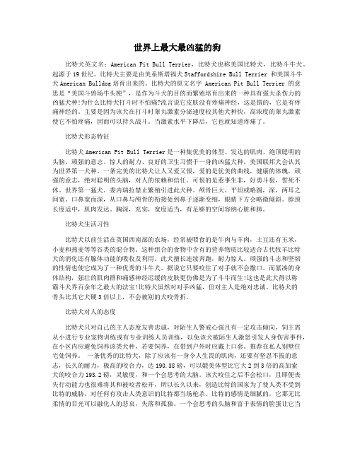 世界上最大最凶猛的狗