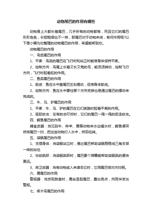 动物尾巴的作用有哪些