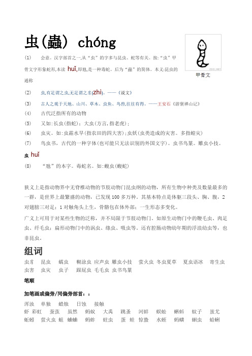 每日一字-虫
