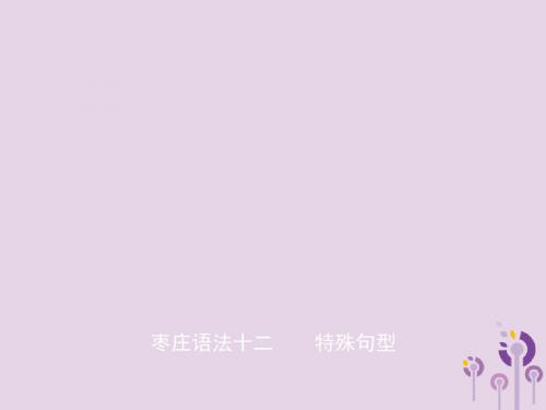 山东省枣庄市2019年中考英语总复习语法十二特殊句型课件
