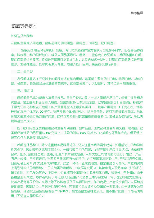 鹅的饲养技术经验