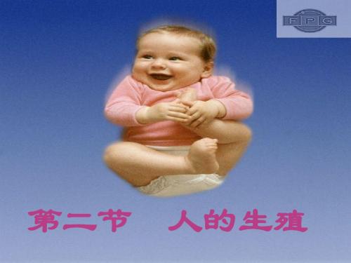 七年级生物人的生殖-