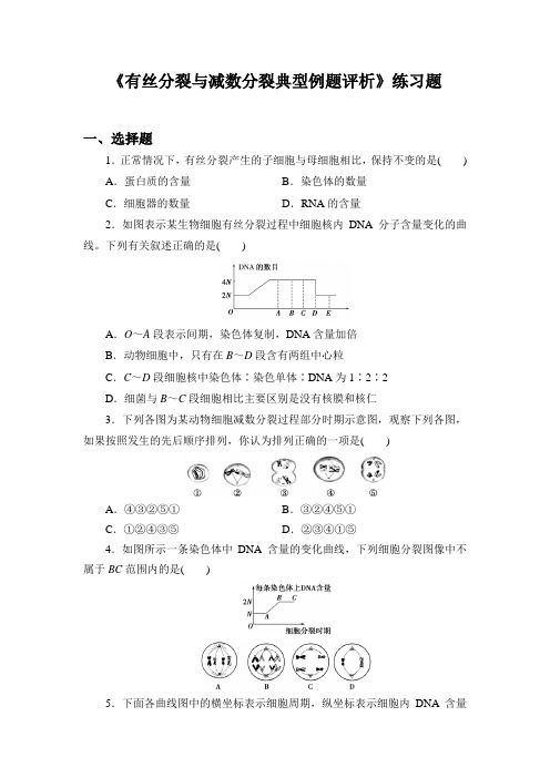 专题讲评：《有丝分裂与减数分裂典型例题评析》练习(含答案)