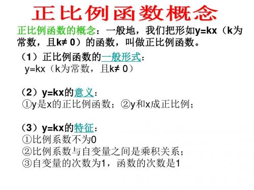 正比例函数概念
