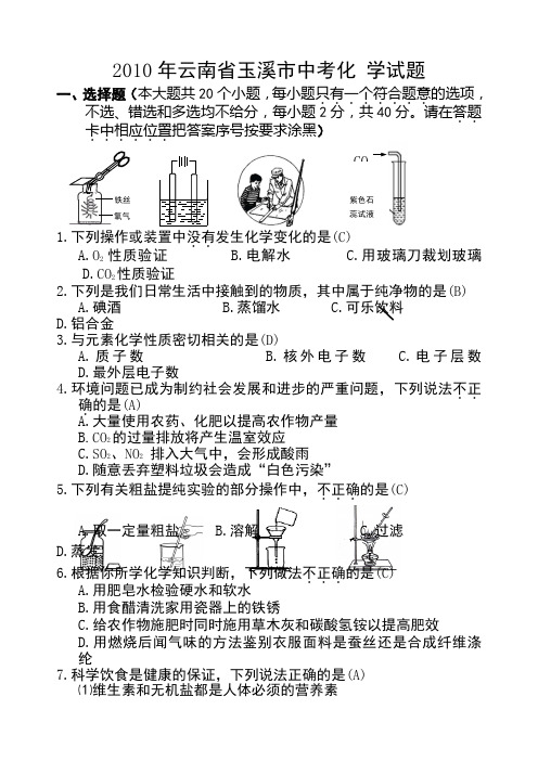 2010年玉溪市中考化学试题及答案