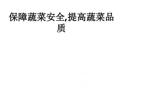 保障蔬菜安全,提高蔬菜品质ppt课件
