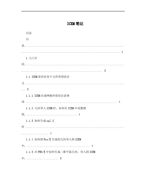 ICEM笔记
