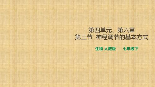 人教版初中生物七年级下册4.6.3神经调节的基本方式课件(共25张PPT)