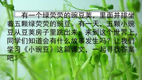 新冀教版三年级语文下册《21 小豌豆》教学课件