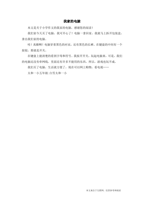 我家的电脑_小学作文_15