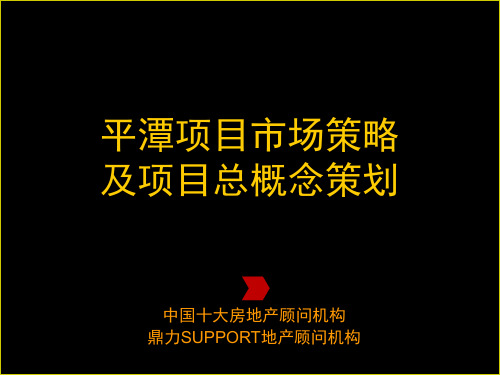 平潭项目市场策略提案