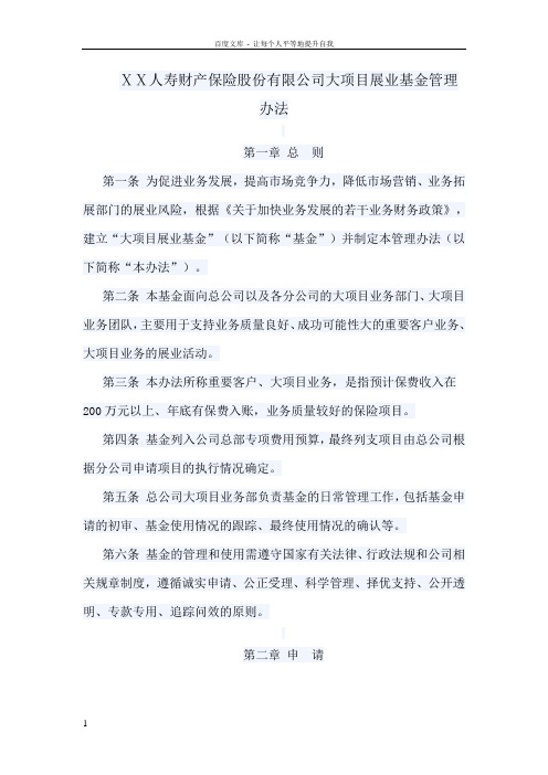 人寿财产保险股份有限公司大项目展业基金管理办法